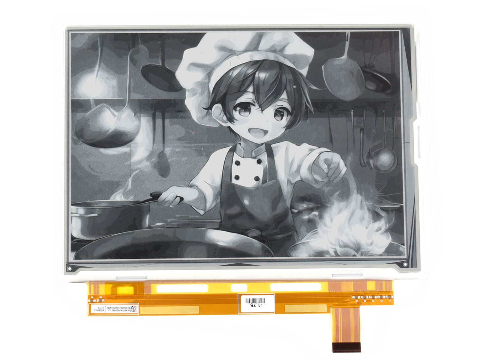 1200x825, 9,7-Zoll E-Ink-Rohdisplay