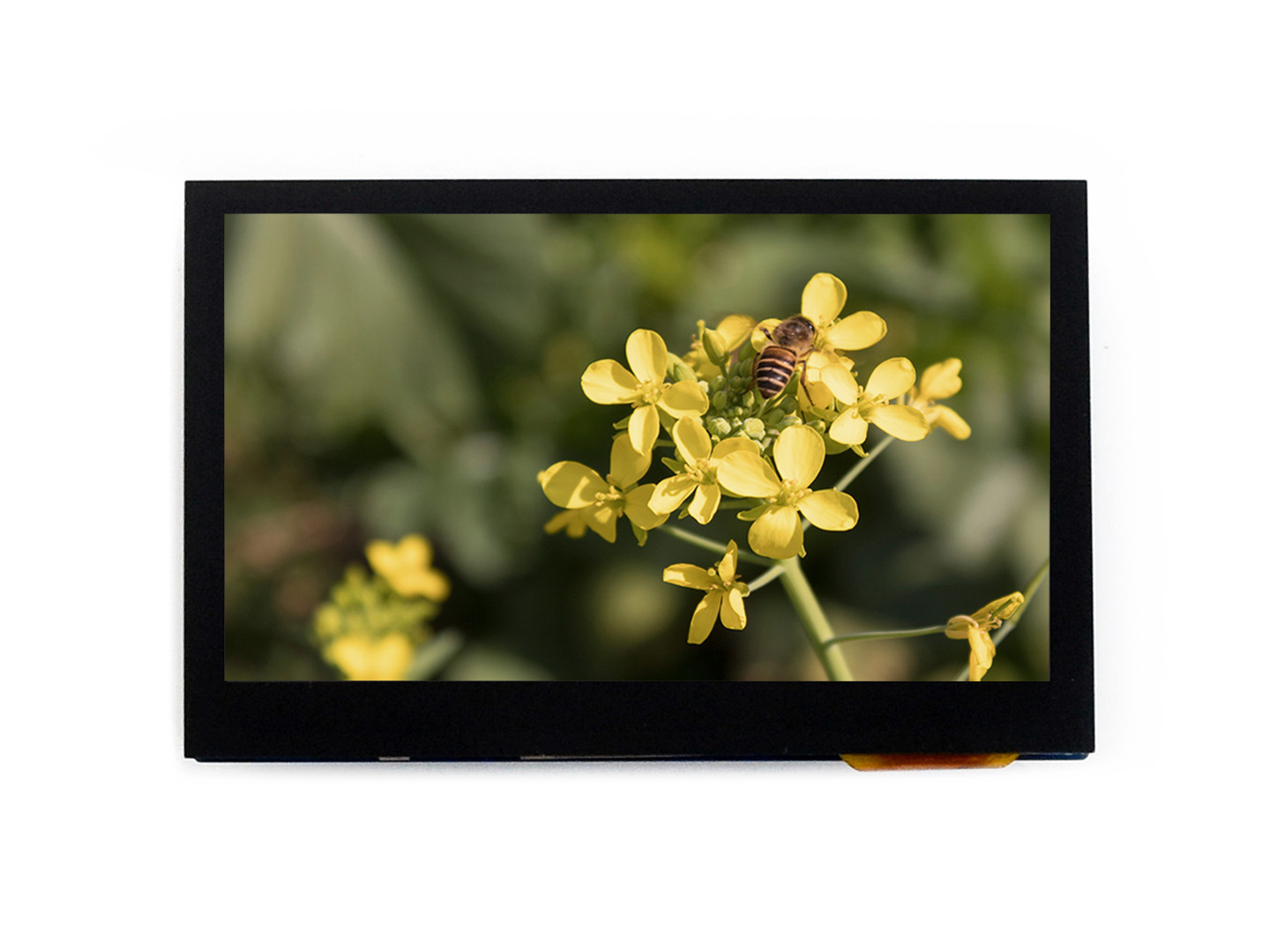 4,3-Zoll kapazitiver Touch-LCD, 800x480